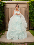 Net Fabric Gown with Stone & Sequin by Shreekama